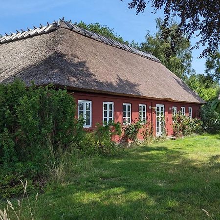 Under Valnodden Bed and Breakfast Stubbekøbing Buitenkant foto