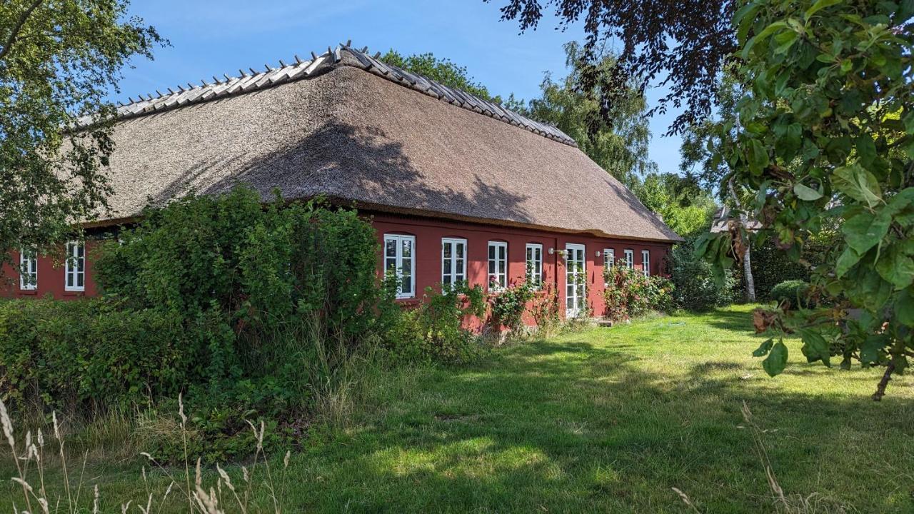 Under Valnodden Bed and Breakfast Stubbekøbing Buitenkant foto
